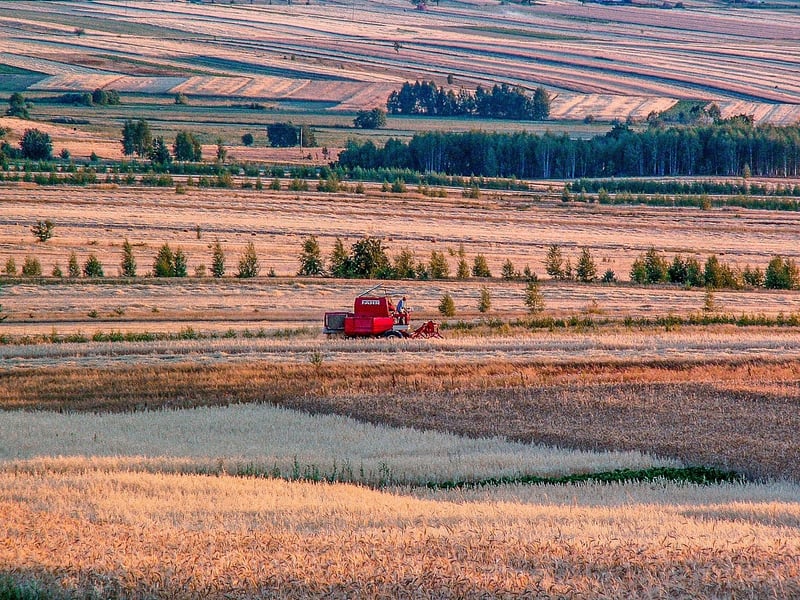 Mindful Harvesting