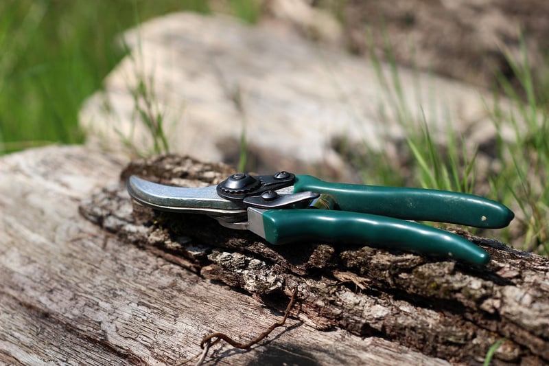 Pruning Tools